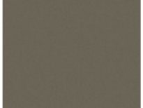 Latte 7166